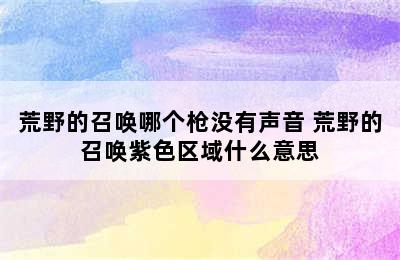 荒野的召唤哪个枪没有声音 荒野的召唤紫色区域什么意思